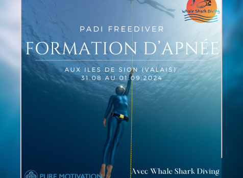 Freediver course in Valais