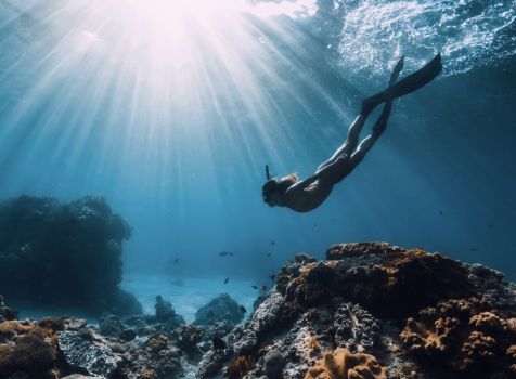 Freediving