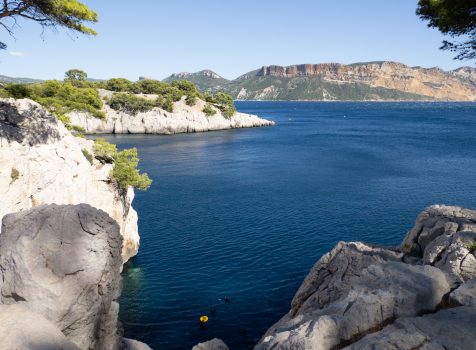 Stages apnée et Yoga dans les Calanques